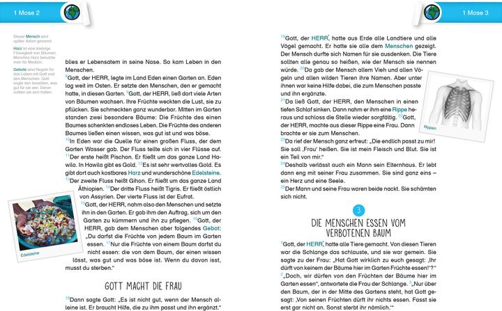 Image du produit Die Bibel. Übersetzung für Kinder. Einsteigerbibel (Allemand, 2019)