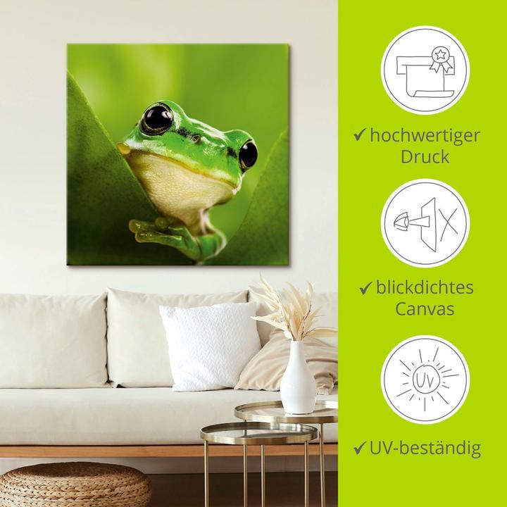 Actual product image Artland Canvas picture on stretcher Scouting frog T5VH 50x50 cm (40x40 cm)