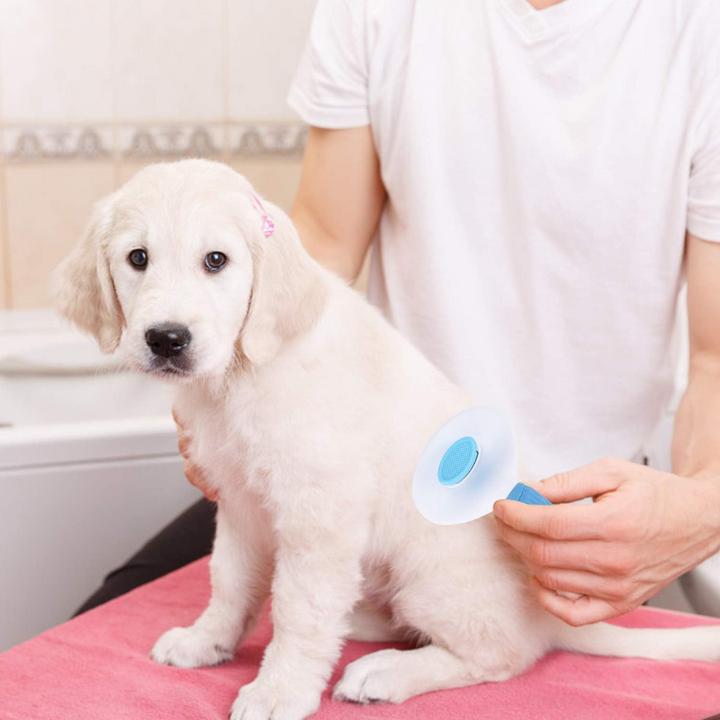 Actual product image Suba Dog Brush, Cat Brush (Cat, Dog)