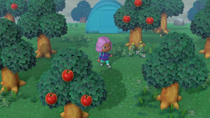 Actual product image Nintendo Animal Crossing: New Horizons (Switch, IT)