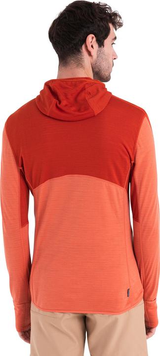 Produktbild Icebreaker Merino 200 Realfleece Descender L/S Zip Hoodie (M)