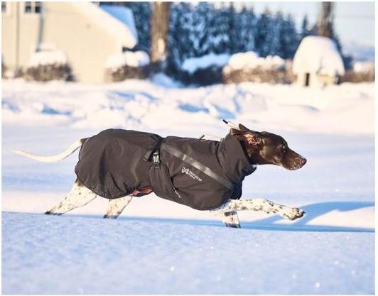 Produktbild Non-Stop Dogwear Insulated Hundemantel XS (XS, Hundemantel)