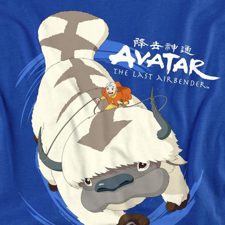 Produktbild Avatar: The Last Airbender In Flight TShirt (S)