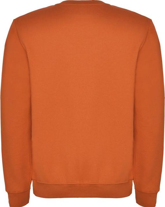Actual product image Alpinia Unisex Adult Clasica Crew Neck Sweatshirt (M)