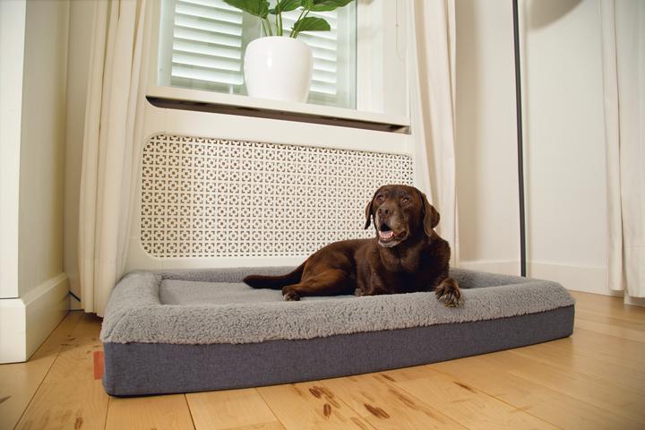 Produktbild Beeztees Yura (Hund)