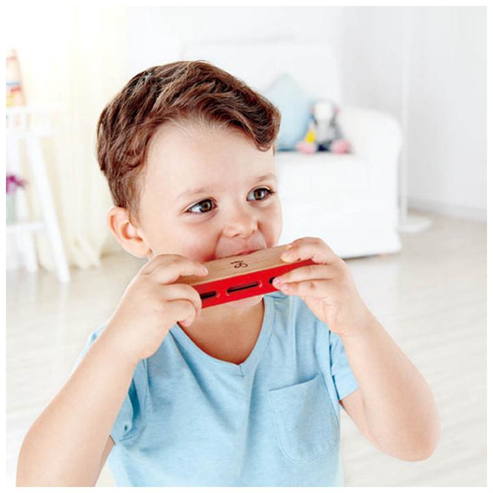 Actual product image Hape Blues harmonica (German, French, Italian, English)