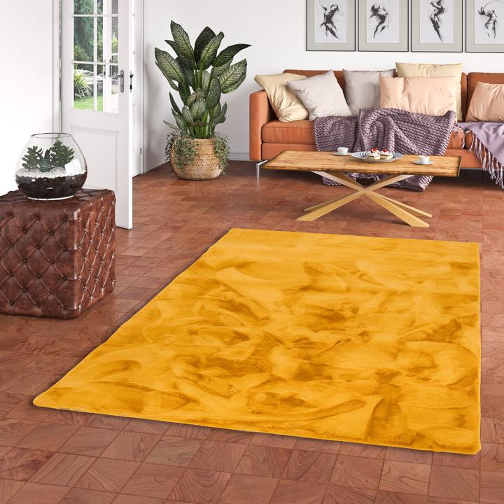 Image du produit Pergamon Tapis de luxe en fourrure Super Soft Plush (160 x 230 cm)