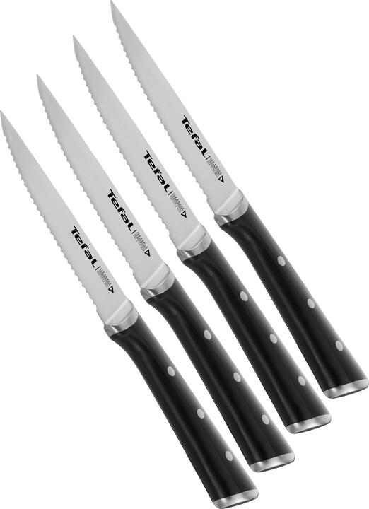 Image du produit Tefal Ensemble de couteaux Ingenio (4 pièce(s), Couteau)