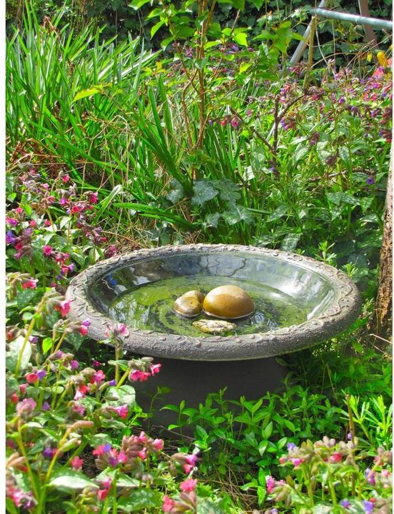 Immagine prodotto Wildlife World Vasca per uccelli Coniston 50 x 50 x 20,5 cm