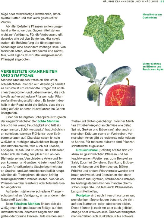 Immagine prodotto Das grosse Gemüse- und Obstgartenbuch (Tedesco, Gioacchino Mayer, 2025)