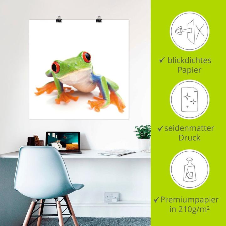 Immagine prodotto Artland Quadro su tela su barella grande immagine di una rana davanti al bianco T5WY (30x30 cm)