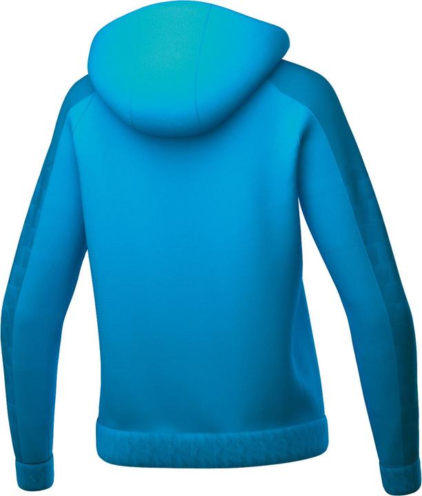 Actual product image Erima Evo Star training jacket with hood (42)