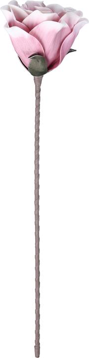 Actual product image EGLO LIVING Molave (65 cm)