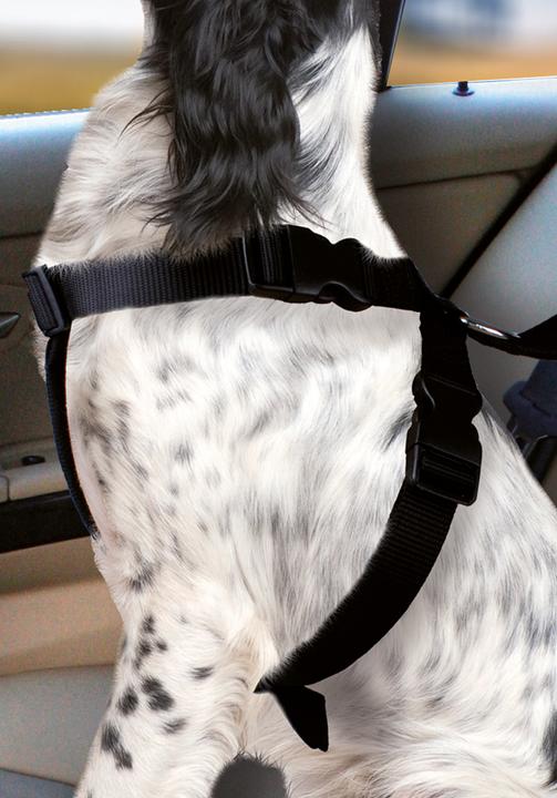 Image du produit Karlie Harnais pour chien de voiture (Chien, Pliable, Verrouillable)