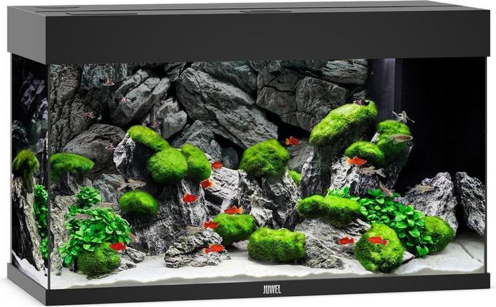 Image du produit Juwel Aquarium Rio (125 l)