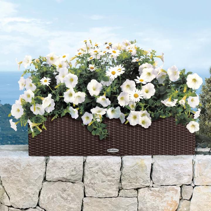 Image du produit Lechuza Balconera Cottage (19 cm)