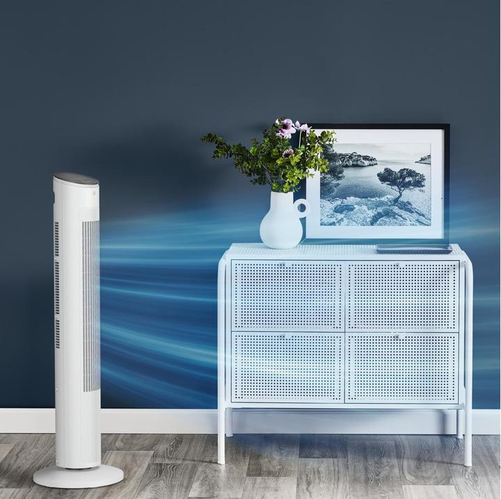 Image du produit Rowenta Eole Ultra VU6871F0 (52 dB)