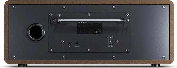Immagine prodotto Sharp DR-I470(BR)PRO (FM, DAB, WiFi)