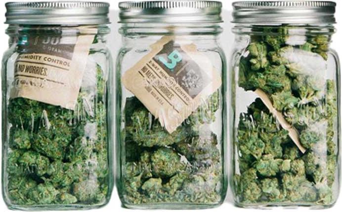 Actual product image Boveda Humidipak 4g