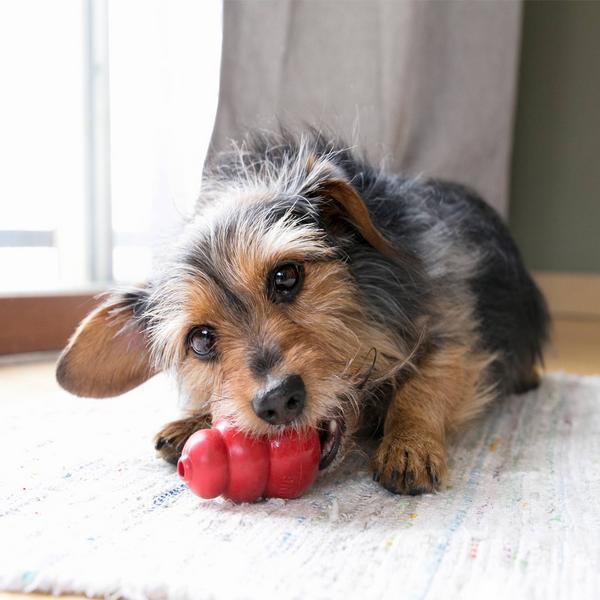 Image du produit KONG Classique (Apporter, Jouet alimentaire pour chien, Jouet à mâcher pour chien)