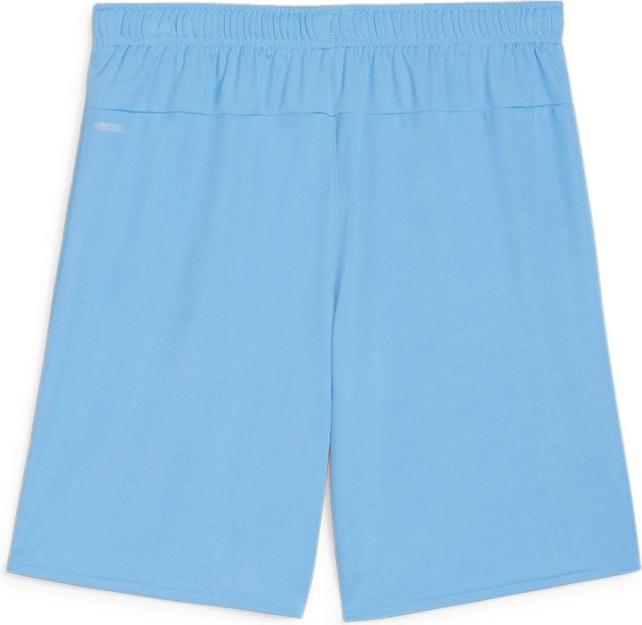 Actual product image Puma teamGOAL shorts (S)