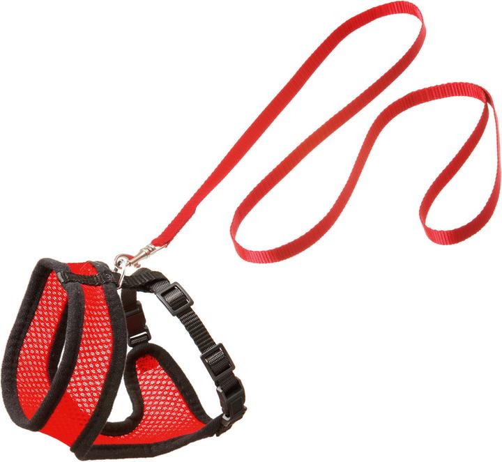 Actual product image Karlie Kitten harness and leash Harms (M, Cat, Walks)