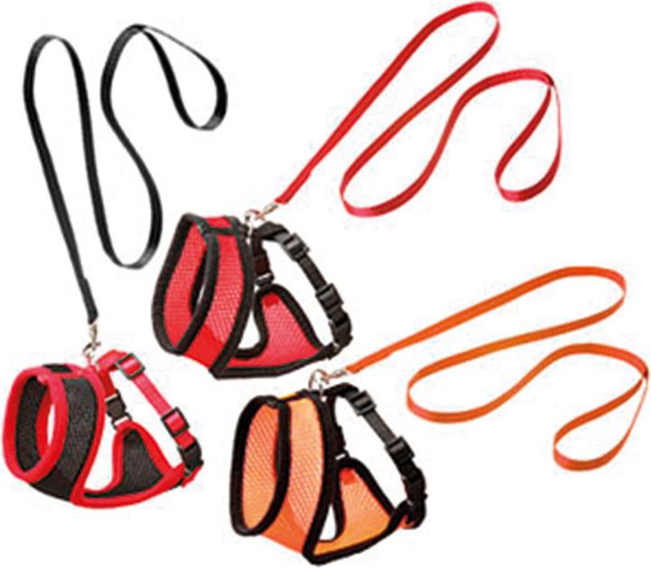 Actual product image Karlie Kitten harness and leash Harms (M, Cat, Walks)
