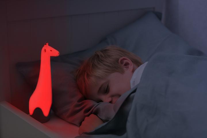 Immagine prodotto ZaZu Buonanotte Buddie