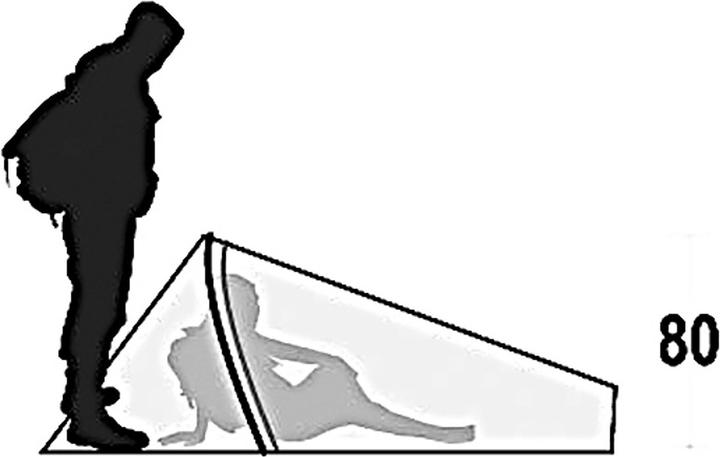 Actual product image Ferrino Sintesi (Tunnel tent, 0.99 kg, 1 person)