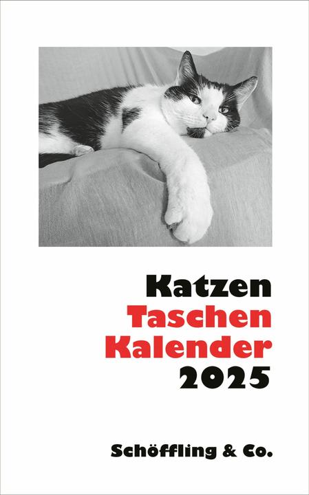 Image du produit Calendrier de poche pour chats 2025 (9,5 x 15 cm, Couverture rigide, Allemand)