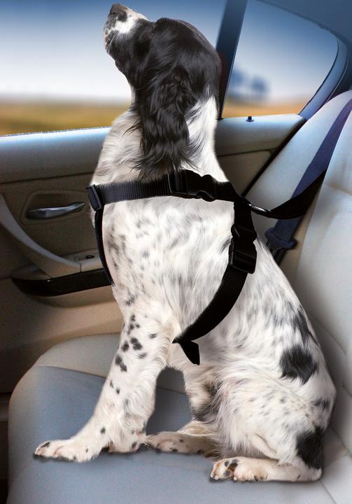 Image du produit Karlie Harnais pour chien de voiture (Chien, Pliable, Verrouillable)