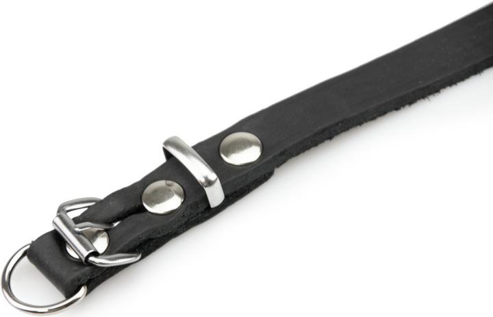 Actual product image Karlie Collar Rondo with strain relief (M, Dog, Walks)