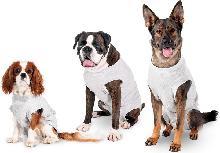 Actual product image Karlie Safety body for dogs, gray (32, Dog vest)