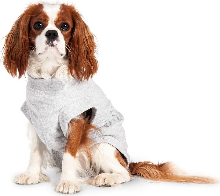 Karlie Safety body for dogs, gray