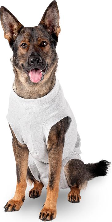 Actual product image Karlie Safety body for dogs, gray (60, Dog overalls)
