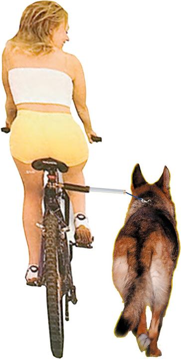 Image du produit Walky Dog Laisse de roue libre pour bicyclette (Chien, Réflecteurs)