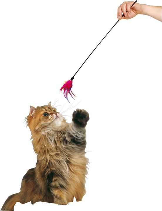 Image du produit Karlie plumeau (Jouet à balle chat)