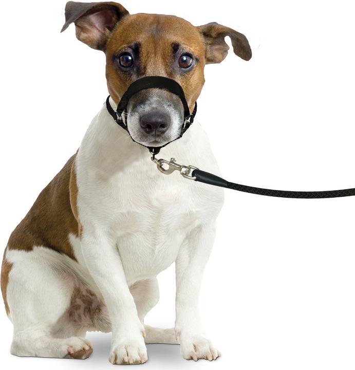 Actual product image Karlie Easy Leader (L, Dog, General)