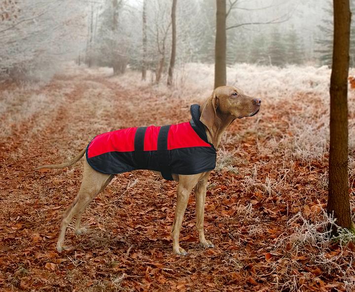 Image du produit Karlie Manteau pour chien Ours polaire (50, Manteau pour chien)