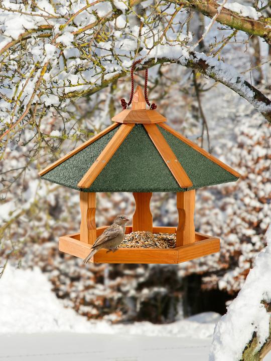 Actual product image Karlie Birdhouse Rena