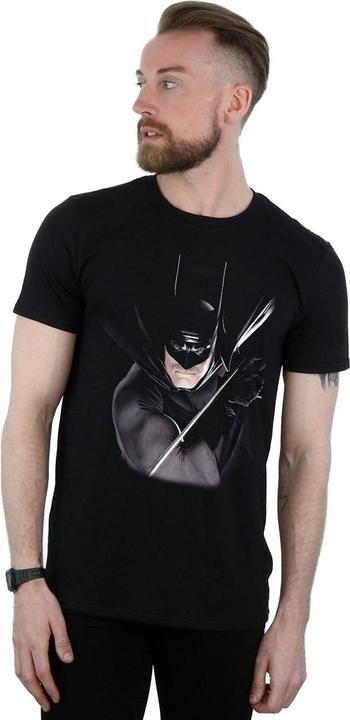 Actual product image Batman Mens Alex Ross Cotton T-Shirt (XL)