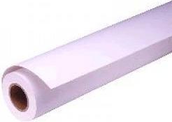 Actual product image Epson Presentation Matt Paper, 24" x 25 m (172 g/m², 2500 cm, 61 cm)