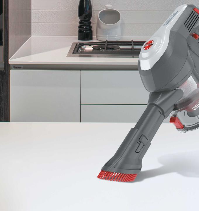 Immagine prodotto Hoover H-FREE 100 PETS