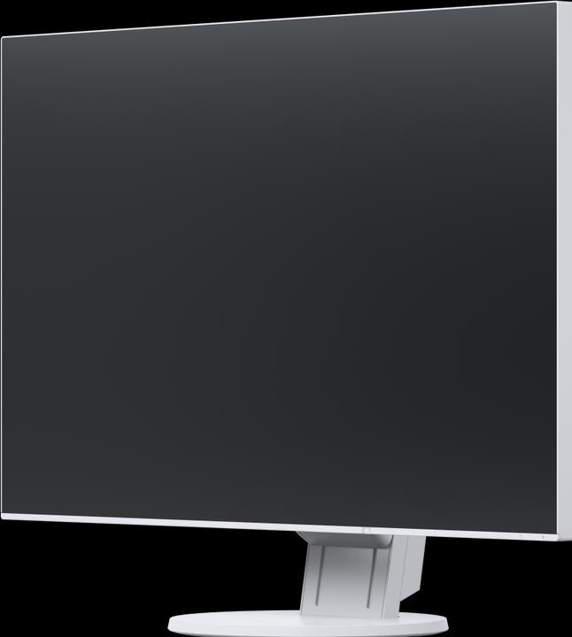 Actual product image Eizo EV2456 FlexScan (1920 x 1200 pixels, 24")