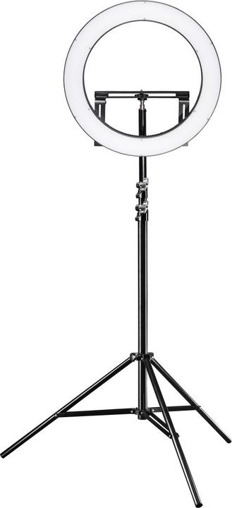 Actual product image Walimex pro 4er Set WT-806 (256 cm, 6 kg)