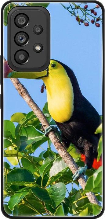 Tucan