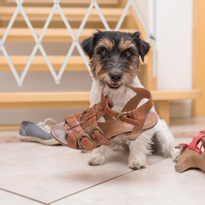 Immagine prodotto Relaxdays Hundeabsperrgitter (3 cm)