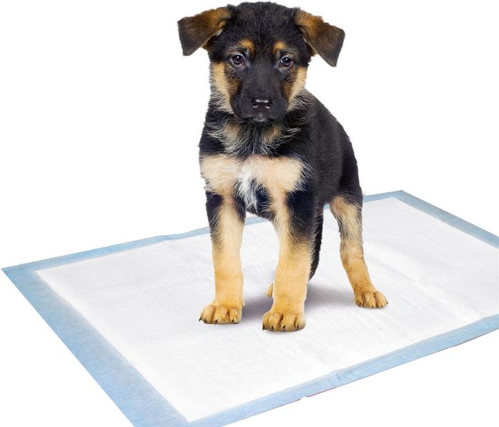 Actual product image Karlie Training mat (Dog)