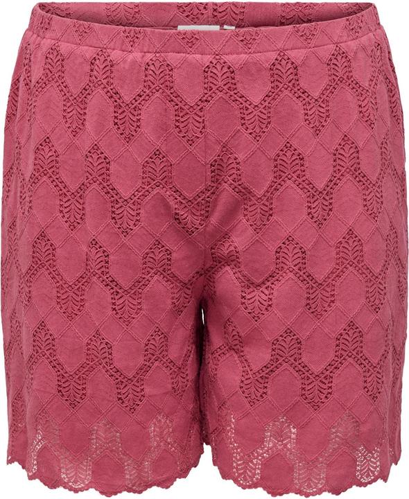 Immagine prodotto Only CARCLEANOR Normal geschnitten Shorts Shorts (54)