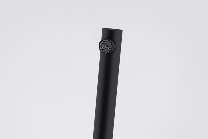 Actual product image Franke MITIGEUR 295481 LINAL BEC NOIR MAT
